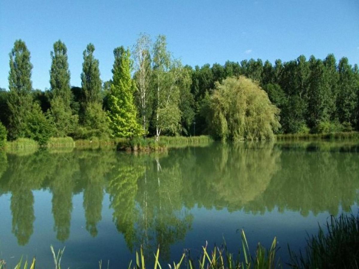 Issac Le Domaine De L'Etang De Sandanet المظهر الخارجي الصورة