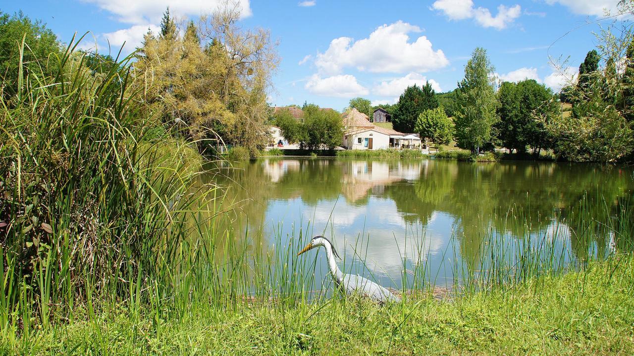 Issac Le Domaine De L'Etang De Sandanet المظهر الخارجي الصورة