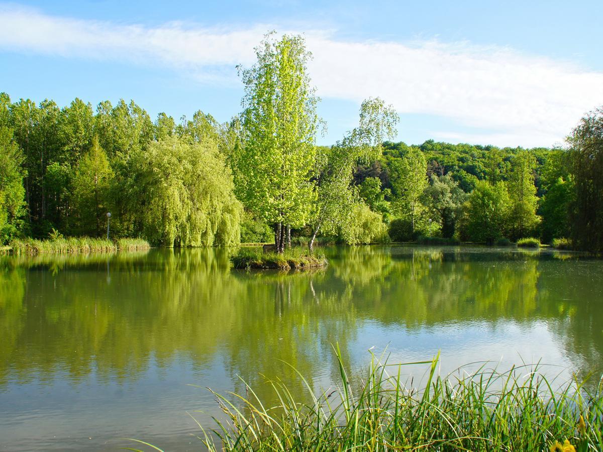 Issac Le Domaine De L'Etang De Sandanet المظهر الخارجي الصورة